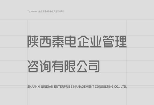 秦電企業(yè)管理咨詢企業(yè)形象設(shè)計(jì)