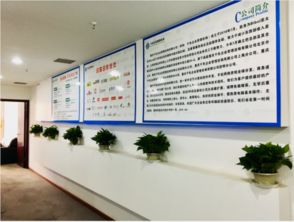重慶千色企業管理咨詢 領先的手機網絡游戲全球分發商