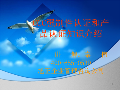 XX企業管理咨詢公司-CCC強制性認證和產品認證知識介紹.ppt