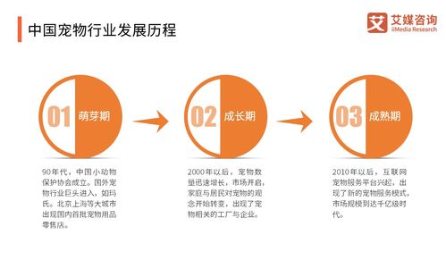 艾媒咨詢 2018 2019中國寵物食品產(chǎn)業(yè)研究與商業(yè)投資決策分析報告