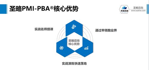 圣略咨詢 項目管理中一項至關重要的能力 商業分析